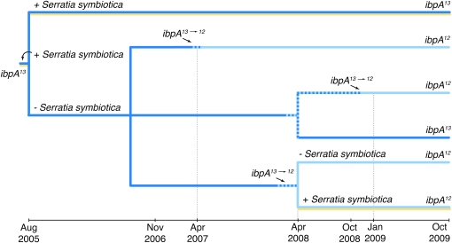 Figure 1.—