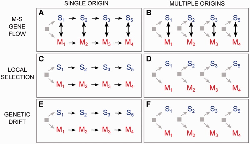 Fig.
4.—