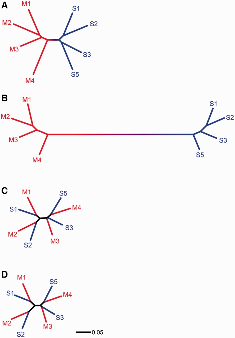 Fig. 3.—