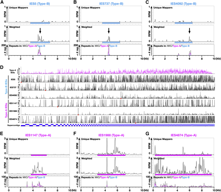 Figure 4