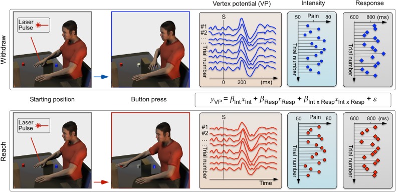 Figure 1.