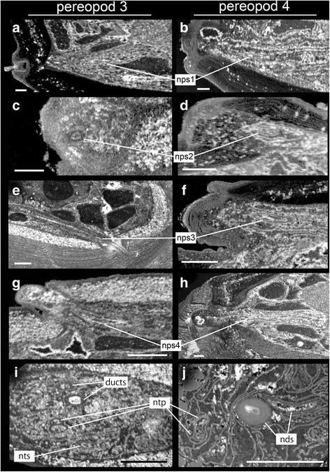 Fig. 5