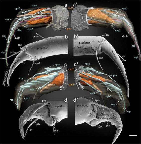 Fig. 2