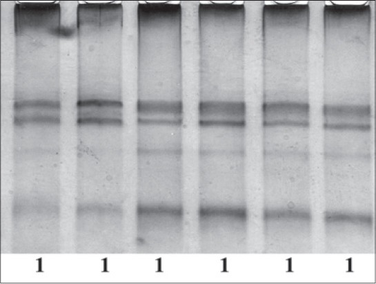 Figure-3