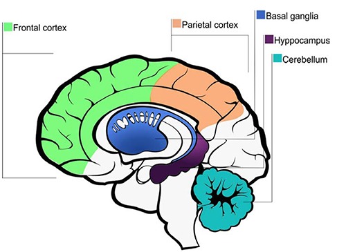 Figure 3.