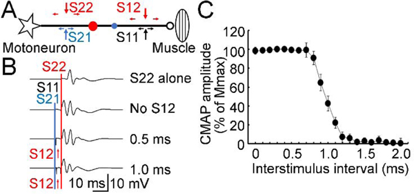 Figure 2.