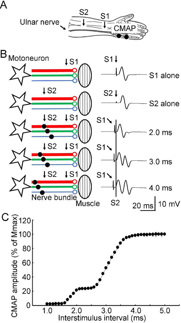 Figure 1.