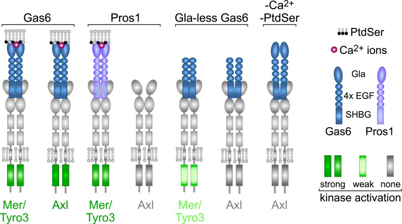 Figure 9.