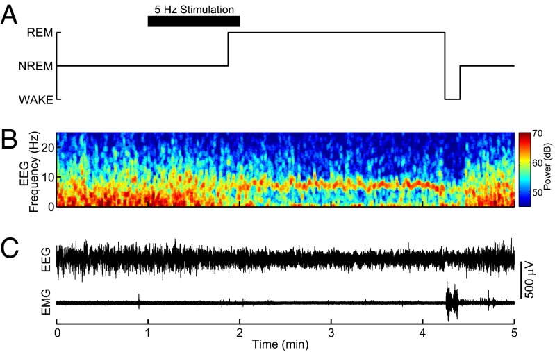 Fig. 3.