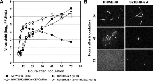 Fig. 9