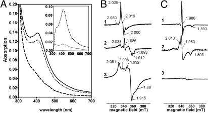 Fig. 3.