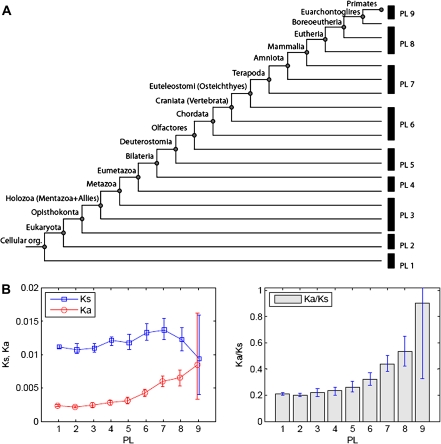 FIG. 2.—