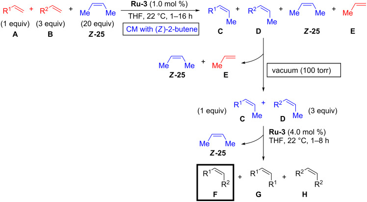 Scheme 5