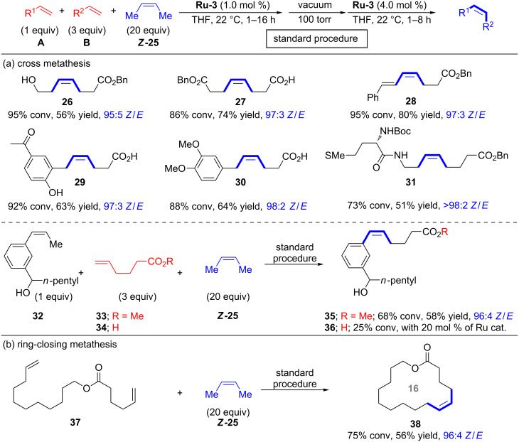 Scheme 6