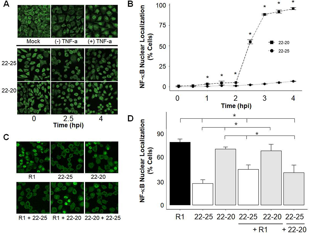 Fig. 2: