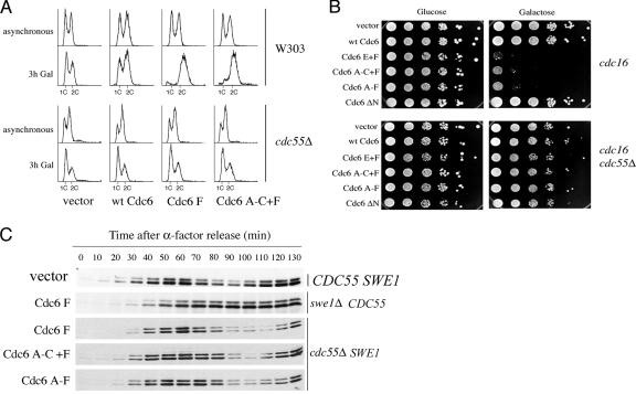 FIG. 4.