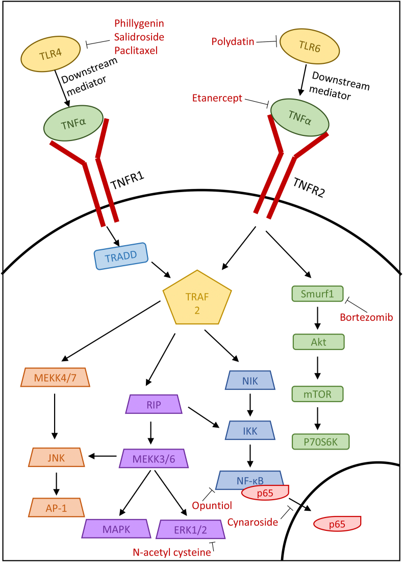 Fig. 3