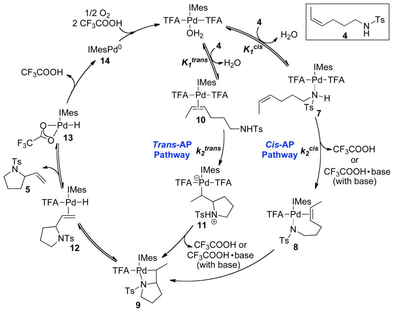 Scheme 5