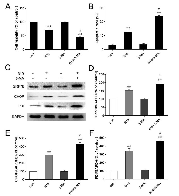 Fig 5