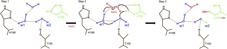 Fig. 4.