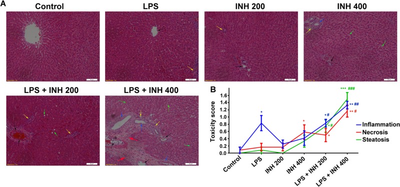 FIG 2