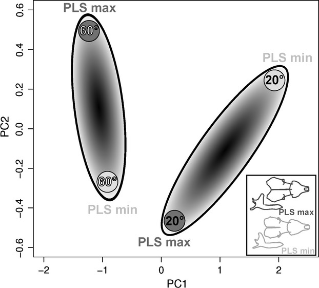 Fig. 8