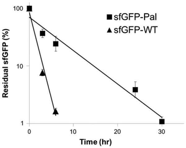 Fig. 5