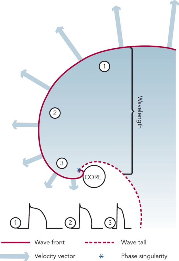 Figure 4: