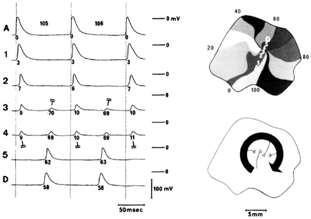 Figure 3: