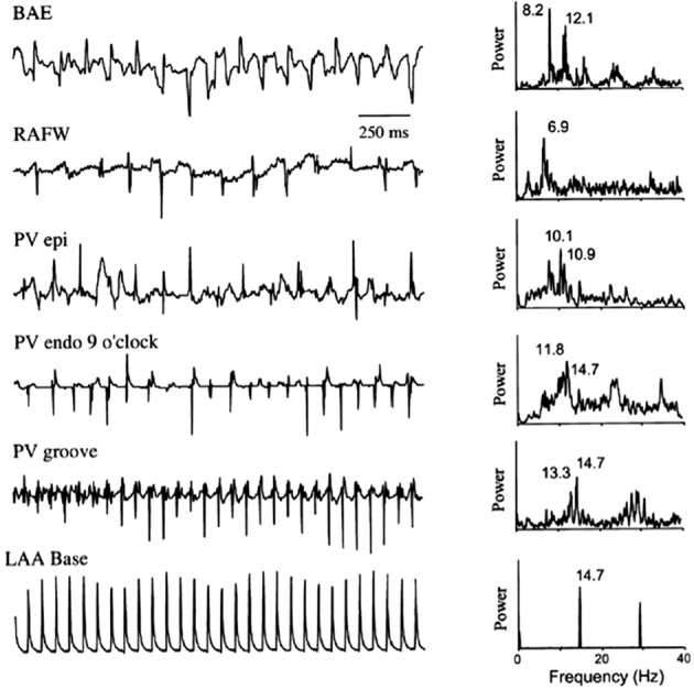 Figure 6: