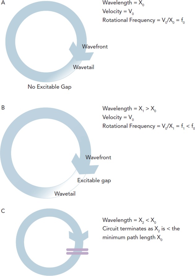 Figure 2: