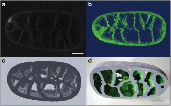 Fig. 2