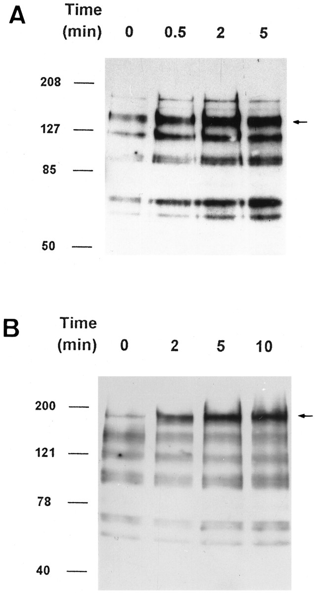 Fig. 9.