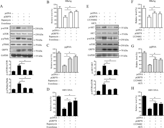 FIG 6