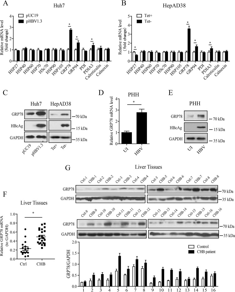 FIG 1