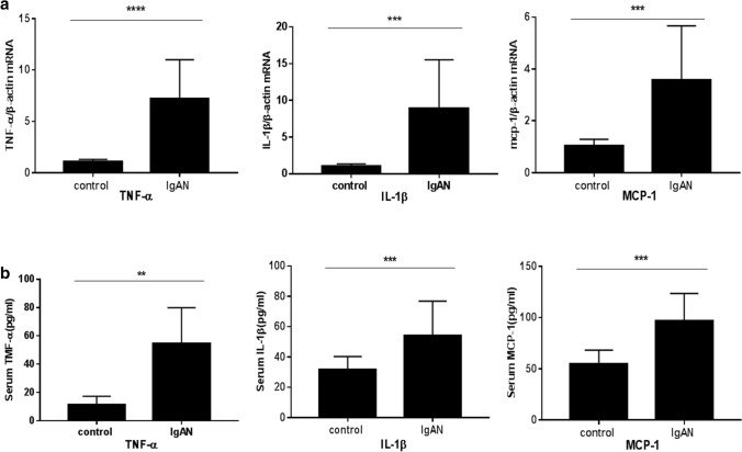 Fig. 13