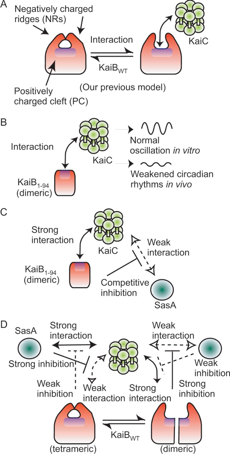 FIGURE 5.