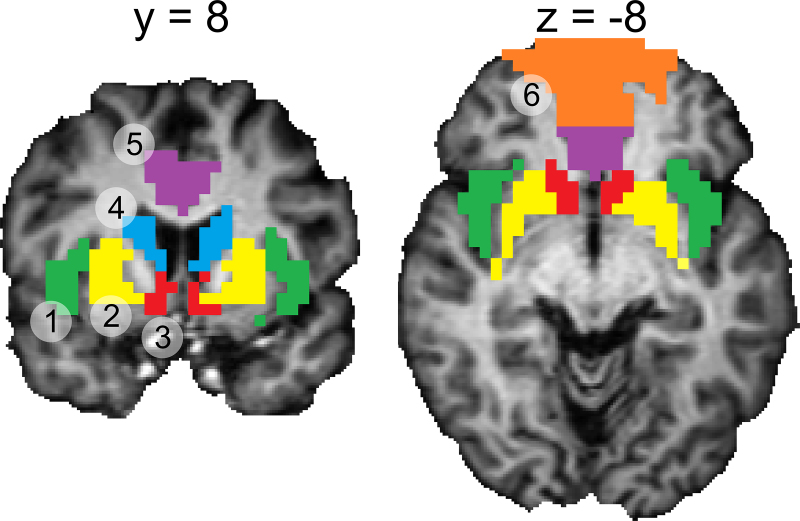 Fig. 2