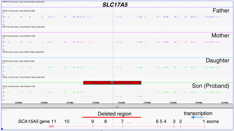 Fig. 1