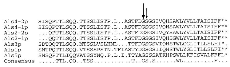 FIG. 4