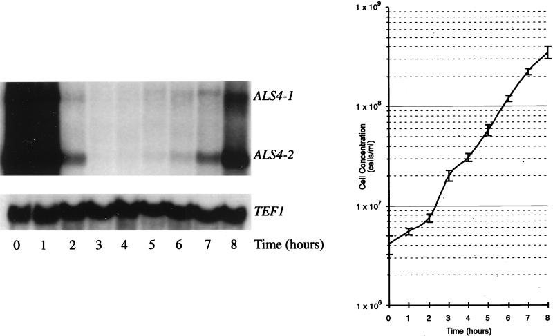 FIG. 6