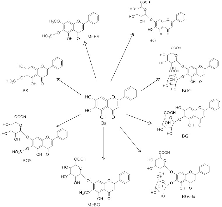 Fig. 1