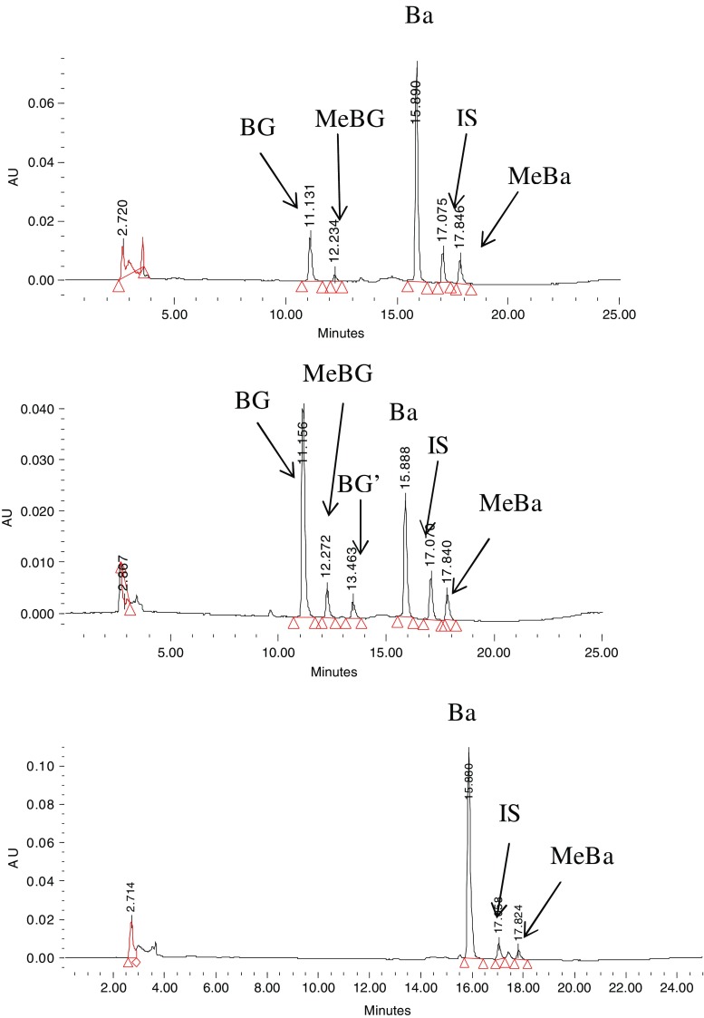 Fig. 2