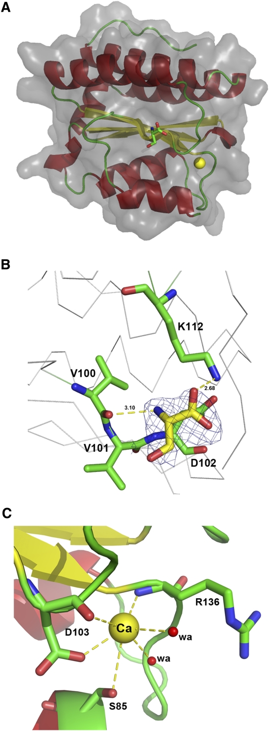 Figure 6.