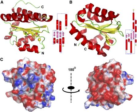 Figure 3.