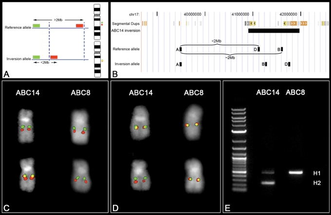 Figure 3.