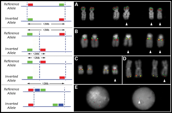 Figure 4.