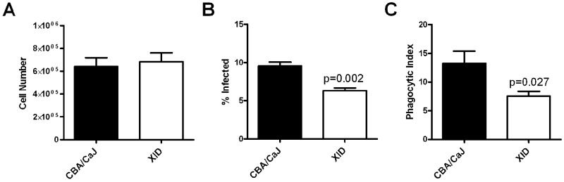 FIG 6 