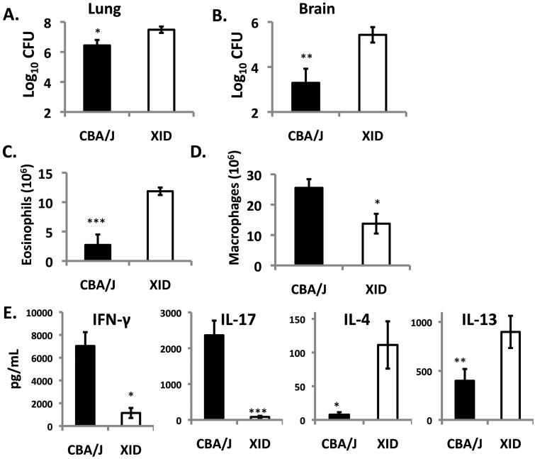 FIG 3 