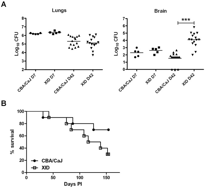 FIG 1 